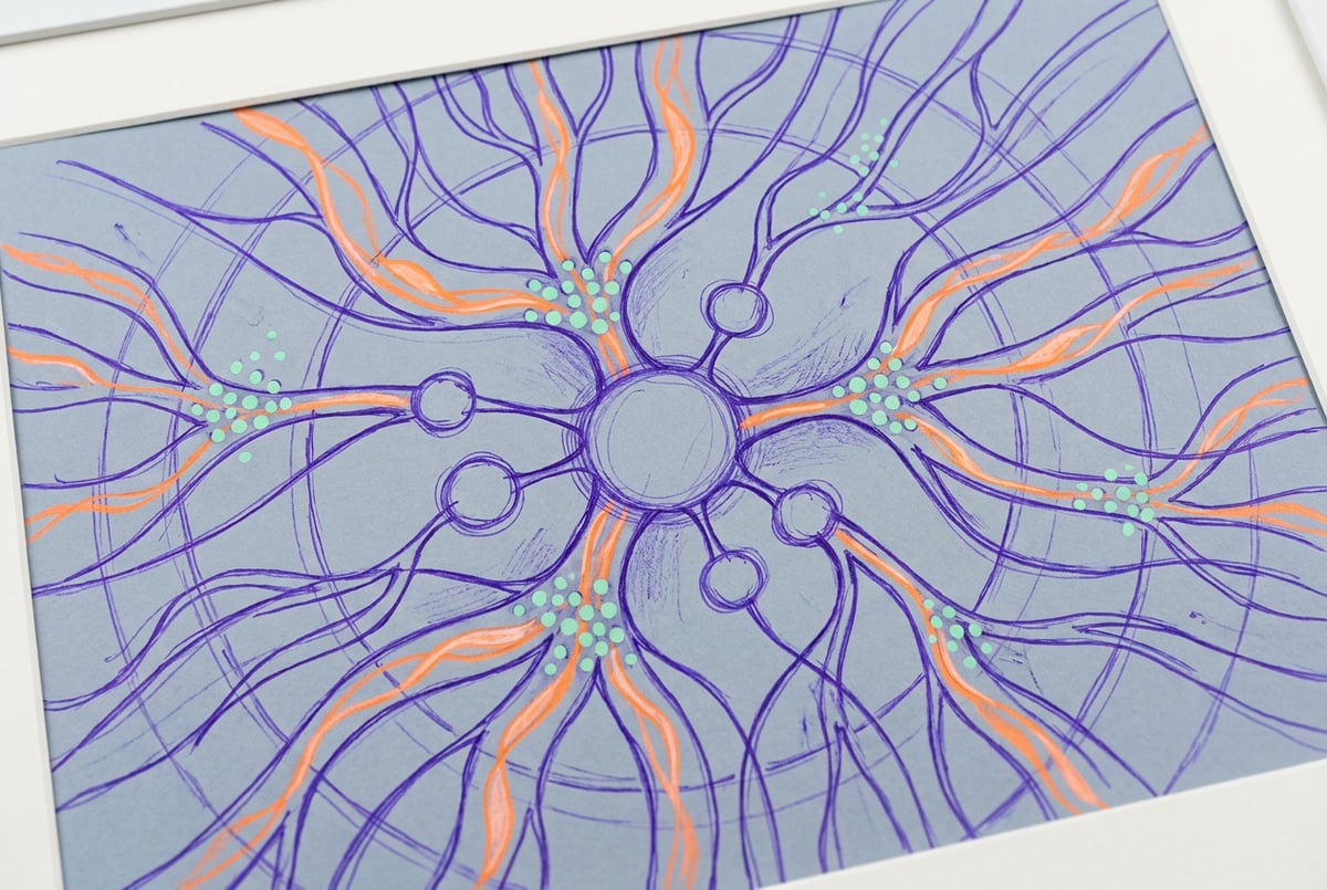 How to Use Ollama to Run AI Models Locally for Claude Code Workflows