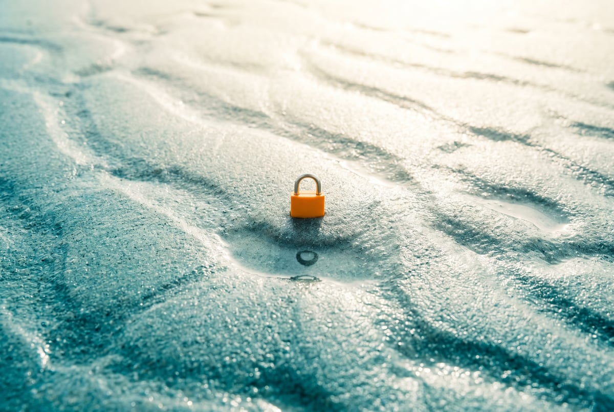 How to Audit Your Enterprise AI Vendor for Agentic Security: 2 Questions to Ask Before You Sign