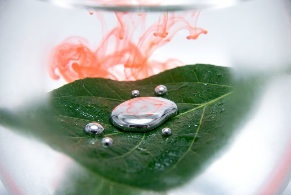 Five Bubble Alternatives for Apps That Need a Real Backend